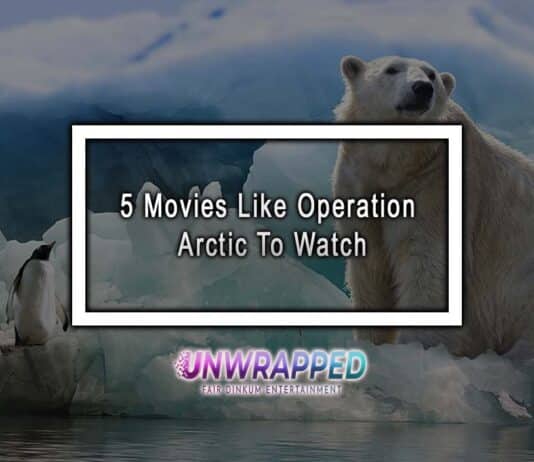 5 Movies Like Operation Arctic To Watch