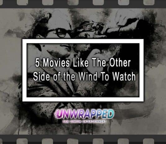 5 Movies Like The Other Side of the Wind To Watch
