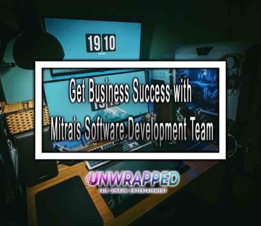 Get Business Success with Mitrais' Software Development Team