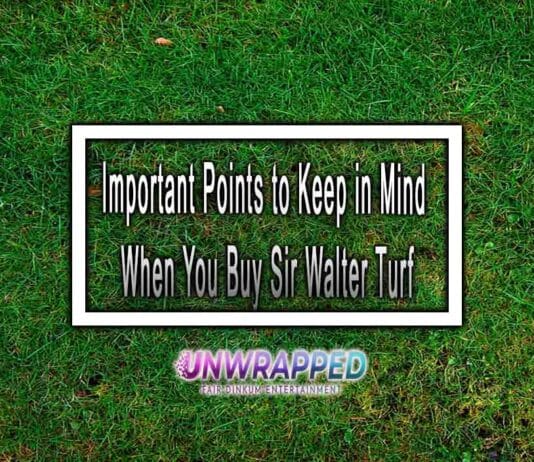 Important Points to Keep in Mind When You Buy Sir Walter Turf