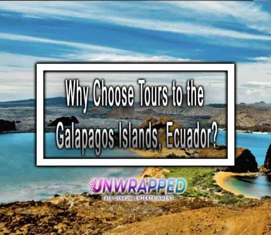 Why Choose Tours to the Galapagos Islands, Ecuador? Why Choose Tours to the Galapagos Islands, Ecuador?