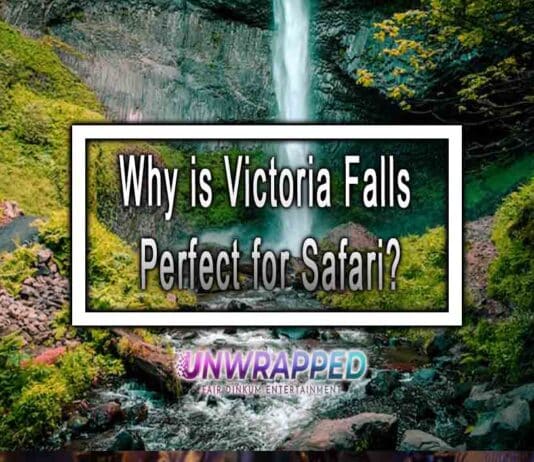 Why is Victoria Falls Perfect for Safari? Why is Victoria Falls Perfect for Safari?