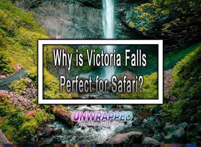 Why is Victoria Falls Perfect for Safari?