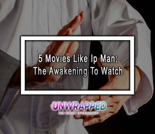 5 Movies Like Ip Man: The Awakening To Watch