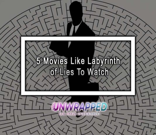 5 Movies Like Labyrinth of Lies To Watch