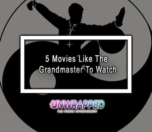 5 Movies Like The Grandmaster To Watch 5 Movies Like The Grandmaster To Watch