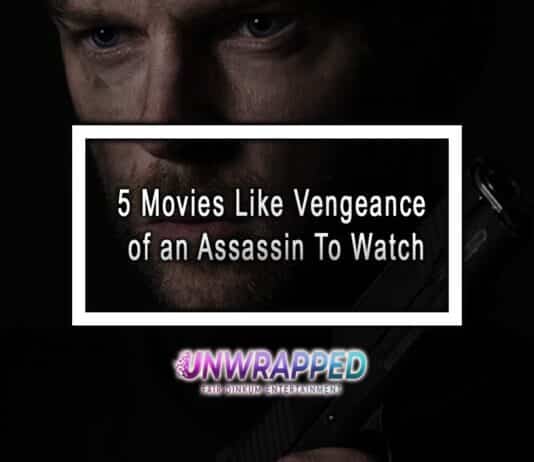 5 Movies Like Vengeance of an Assassin To Watch