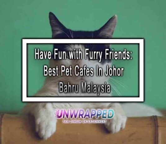 Have Fun with Furry Friends: Best Pet Cafes In Johor Bahru Malaysia