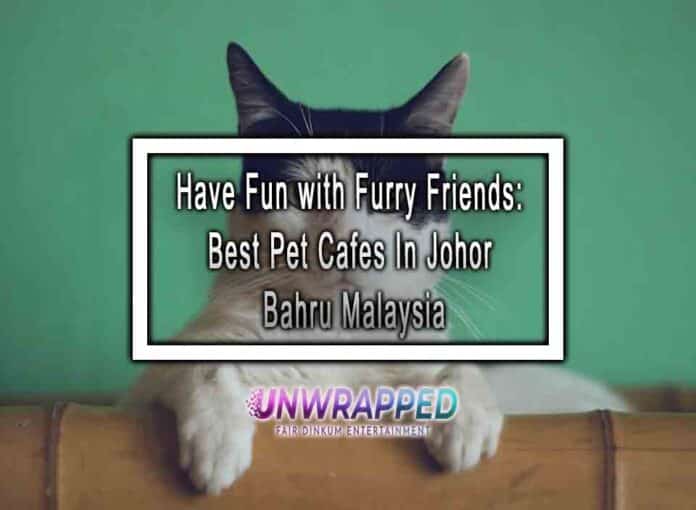 Have Fun with Furry Friends Best Pet Cafes In Johor Bahru Malaysia Have Fun with Furry Friends: Best Pet Cafes In Johor Bahru Malaysia