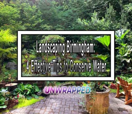 Landscaping Birmingham: 4 Effective Tips to Conserve Water