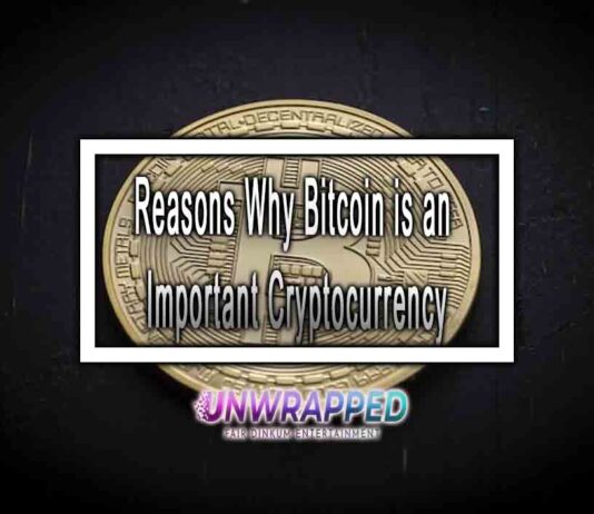 Reasons Why Bitcoin is an Important Cryptocurrency Reasons Why Bitcoin is an Important Cryptocurrency