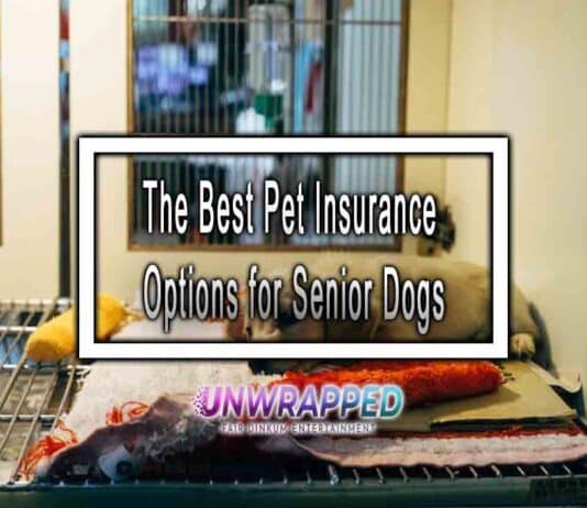 The Best Pet Insurance Options for Senior Dogs The Best Pet Insurance Options for Senior Dogs