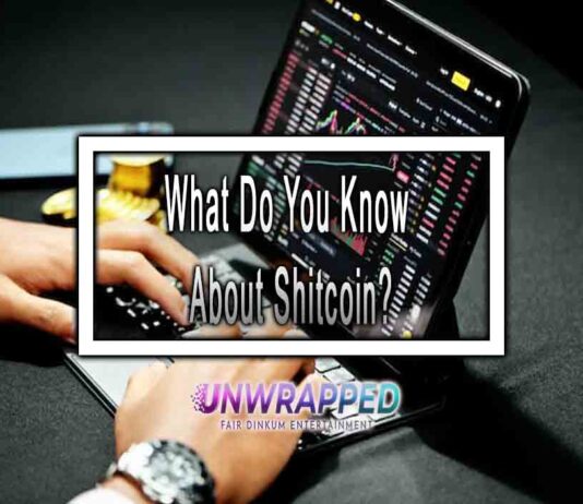 What Do You Know About Shitcoin? What Do You Know About Shitcoin?