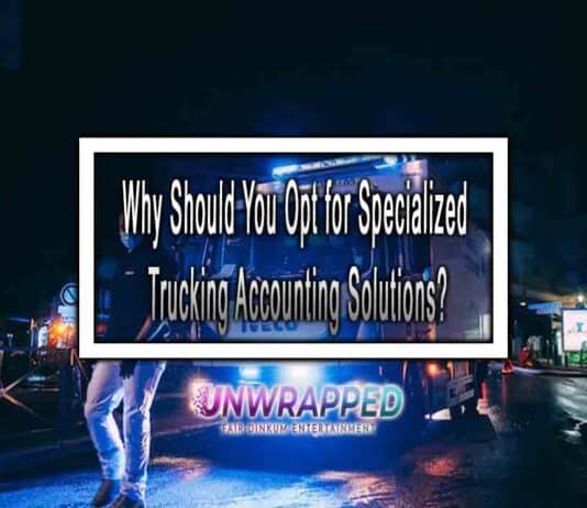 Why Should You Opt for Specialized Trucking Accounting Solutions?