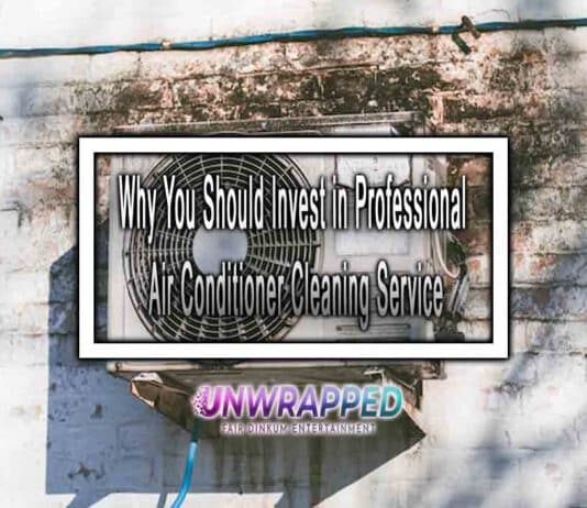 Why You Should Invest in Professional Air Conditioner Cleaning Service