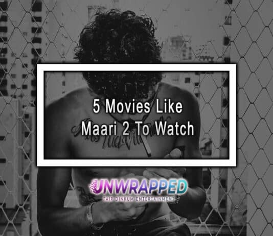 5 Movies Like Maari 2 To Watch