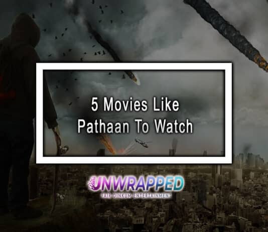 5 Movies Like Pathaan To Watch