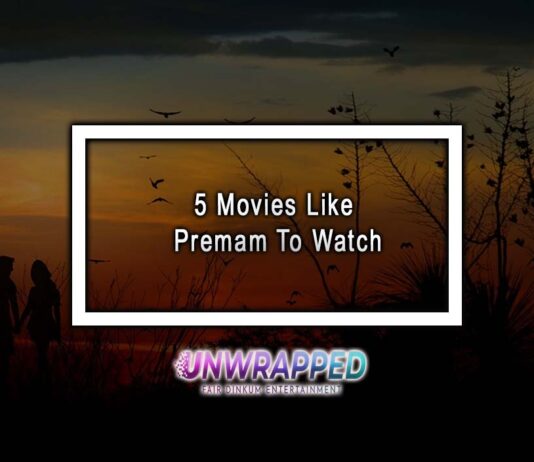 5 Movies Like Premam To Watch