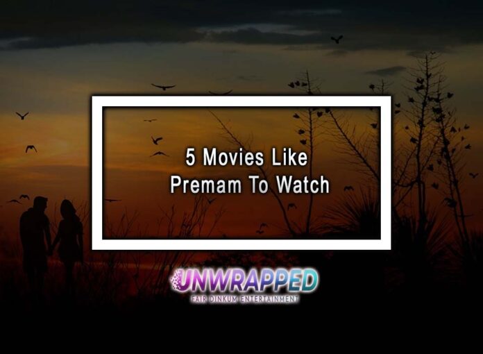 5 Movies Like Premam To Watch