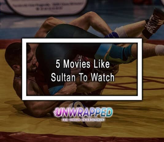 5 Movies Like Sultan To Watch