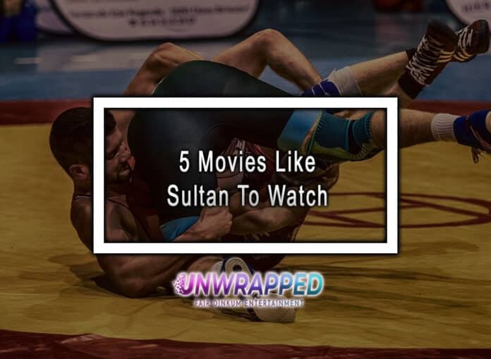 5 Movies Like Sultan To Watch