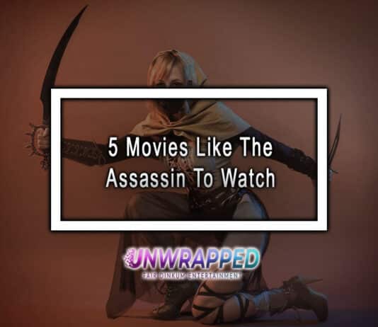 5 Movies Like The Assassin To Watch