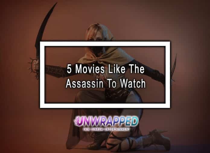 5 Movies Like The Assassin To Watch