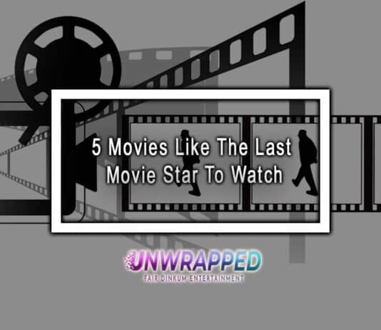 5 Movies Like The Last Movie Star To Watch