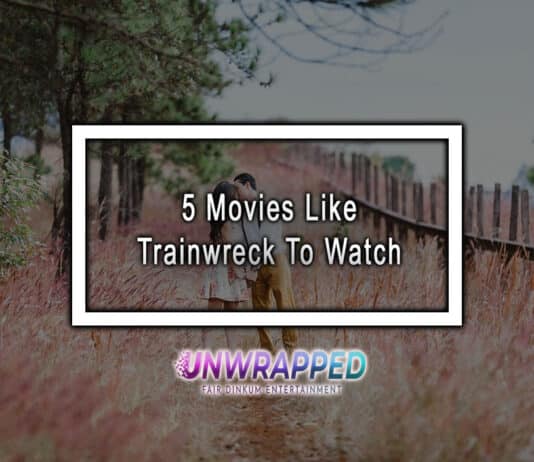 5 Movies Like Trainwreck To Watch