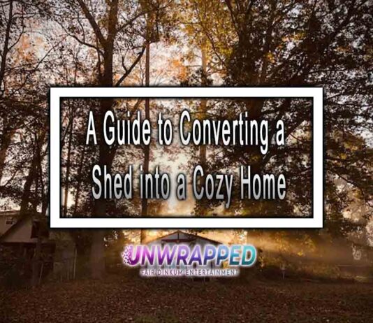 A Guide to Converting a Shed into a Cozy Home