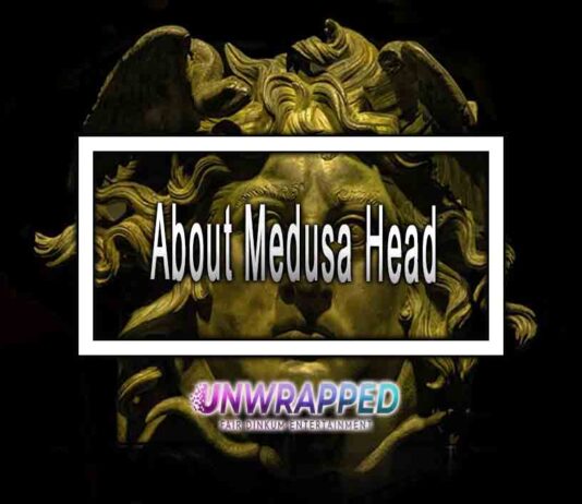 About Medusa Head