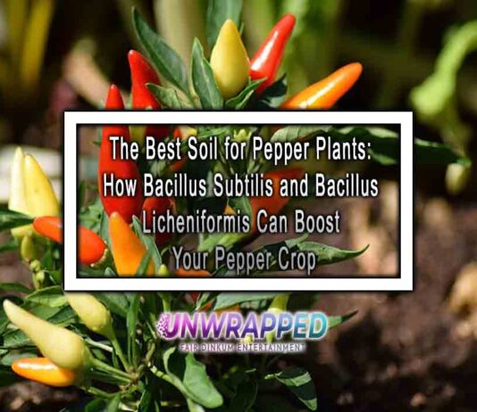 The Best Soil for Pepper Plants: How Bacillus Subtilis and Bacillus Licheniformis Can Boost Your Pepper Crop