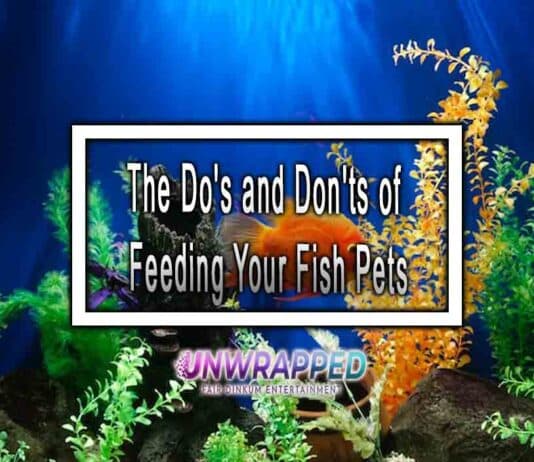 The Do's and Don'ts of Feeding Your Fish Pets