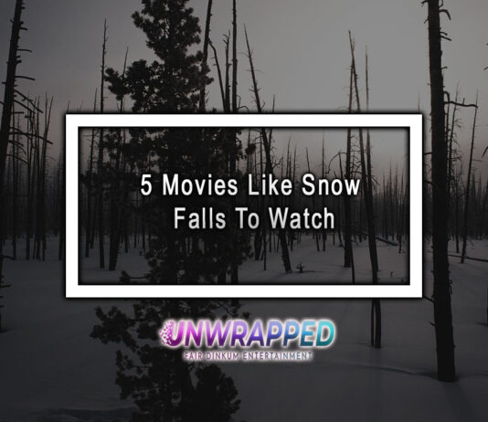 5 Movies Like Snow Falls To Watch