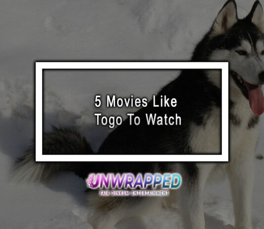 5 Movies Like Togo To Watch