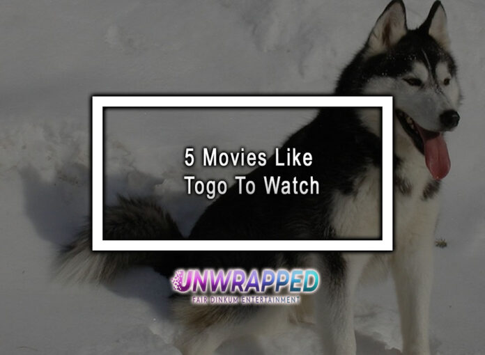 5 Movies Like Togo To Watch