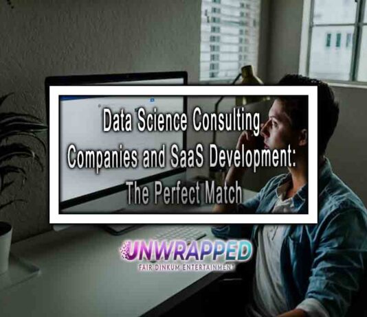 Data Science Consulting Companies and SaaS Development: The Perfect Match