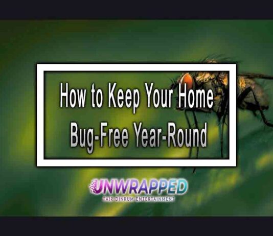 How to Keep Your Home Bug-Free Year-Round