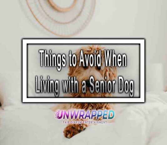 Things to Avoid When Living with a Senior Dog