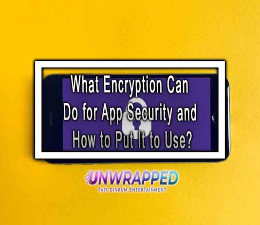 What Encryption Can Do for App Security and How to Put It to Use?