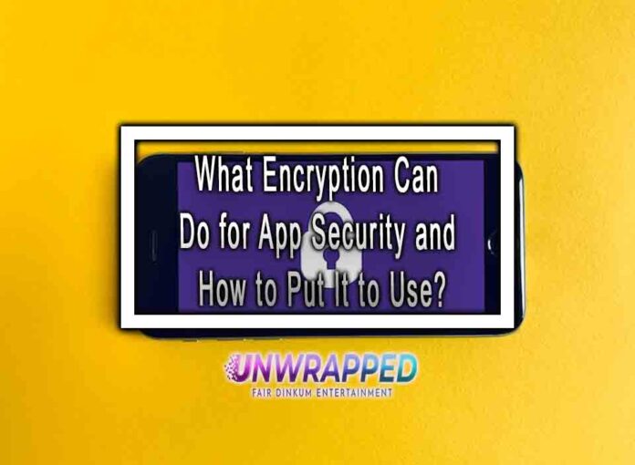 What Encryption Can Do for App Security and How to Put It to Use?