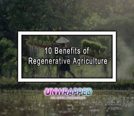 10 Benefits of Regenerative Agriculture 10 Benefits of Regenerative Agriculture