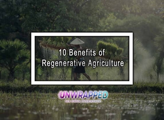 10 Benefits Of Regenerative Agriculture