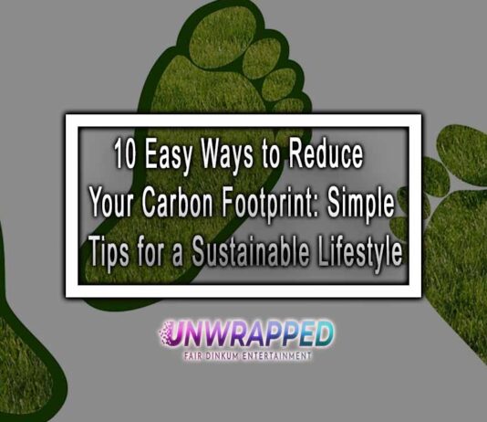 10 Easy Ways to Reduce Your Carbon Footprint: Simple Tips for a Sustainable Lifestyle 10 Easy Ways to Reduce Your Carbon Footprint: Simple Tips for a Sustainable Lifestyle