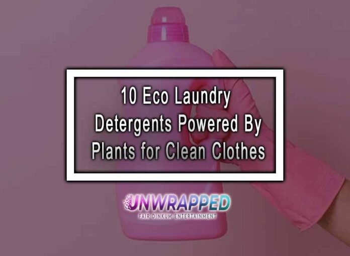 10 Eco Laundry Detergents Powered By Plants for Clean Clothes