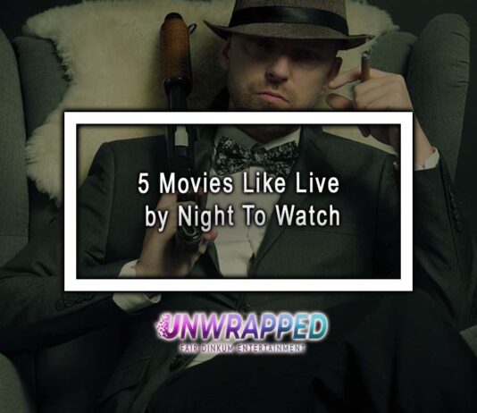 5 Movies Like Live by Night To Watch