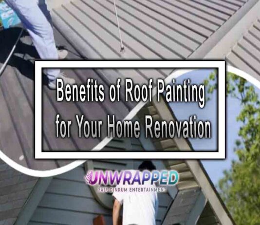 Benefits of Roof Painting for Your Home Renovation
