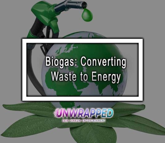 Biogas: Converting Waste to Energy
