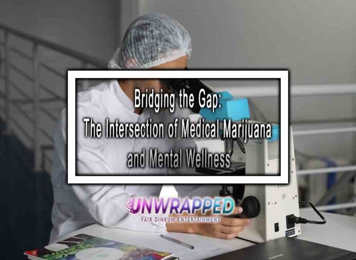 Bridging the Gap: The Intersection of Medical Marijuana and Mental Wellness