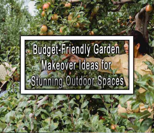 Budget-Friendly Garden Makeover Ideas for Stunning Outdoor Spaces